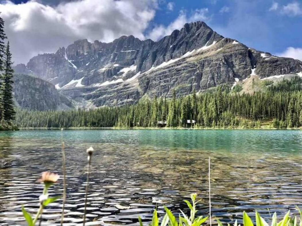 Falcon Crest Lodge 1 Bedroom Condo With Gym & Hot-Tubs & Mountain View Canmore Esterno foto